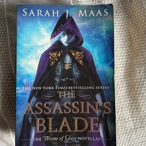 The Assassins blade book
